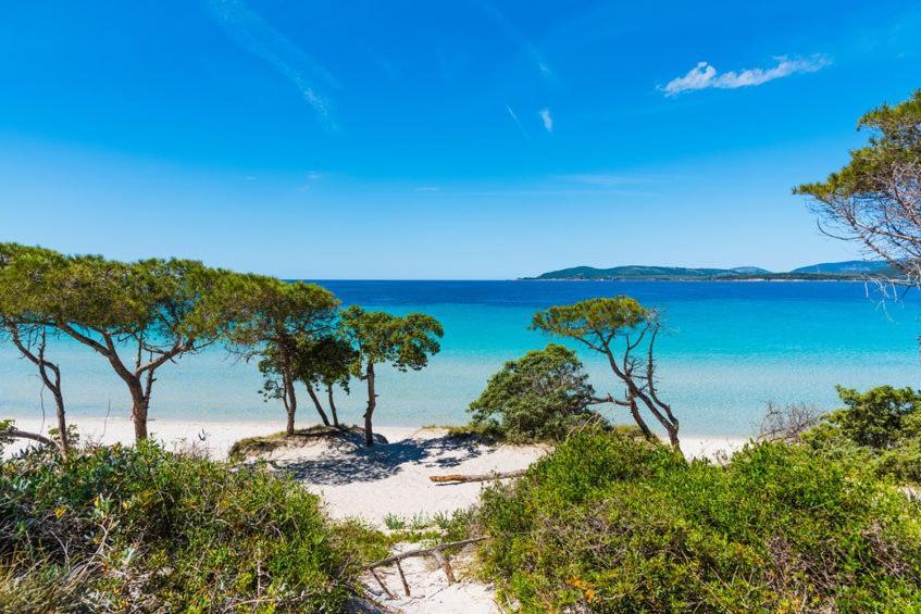 Alghero D'Estate Εξωτερικό φωτογραφία